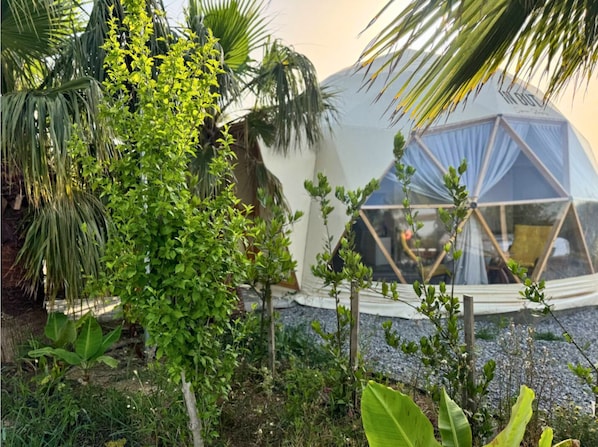 Superior-Zelt, Terrasse | Hochwertige Bettwaren, Minibar, Schreibtisch, Verdunkelungsvorhänge