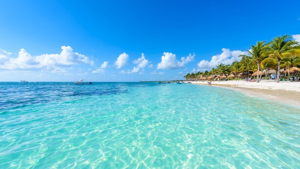 A beach with clear turquoise water, palm trees, and a boat. -  Lapso At Tulum (Tulum)