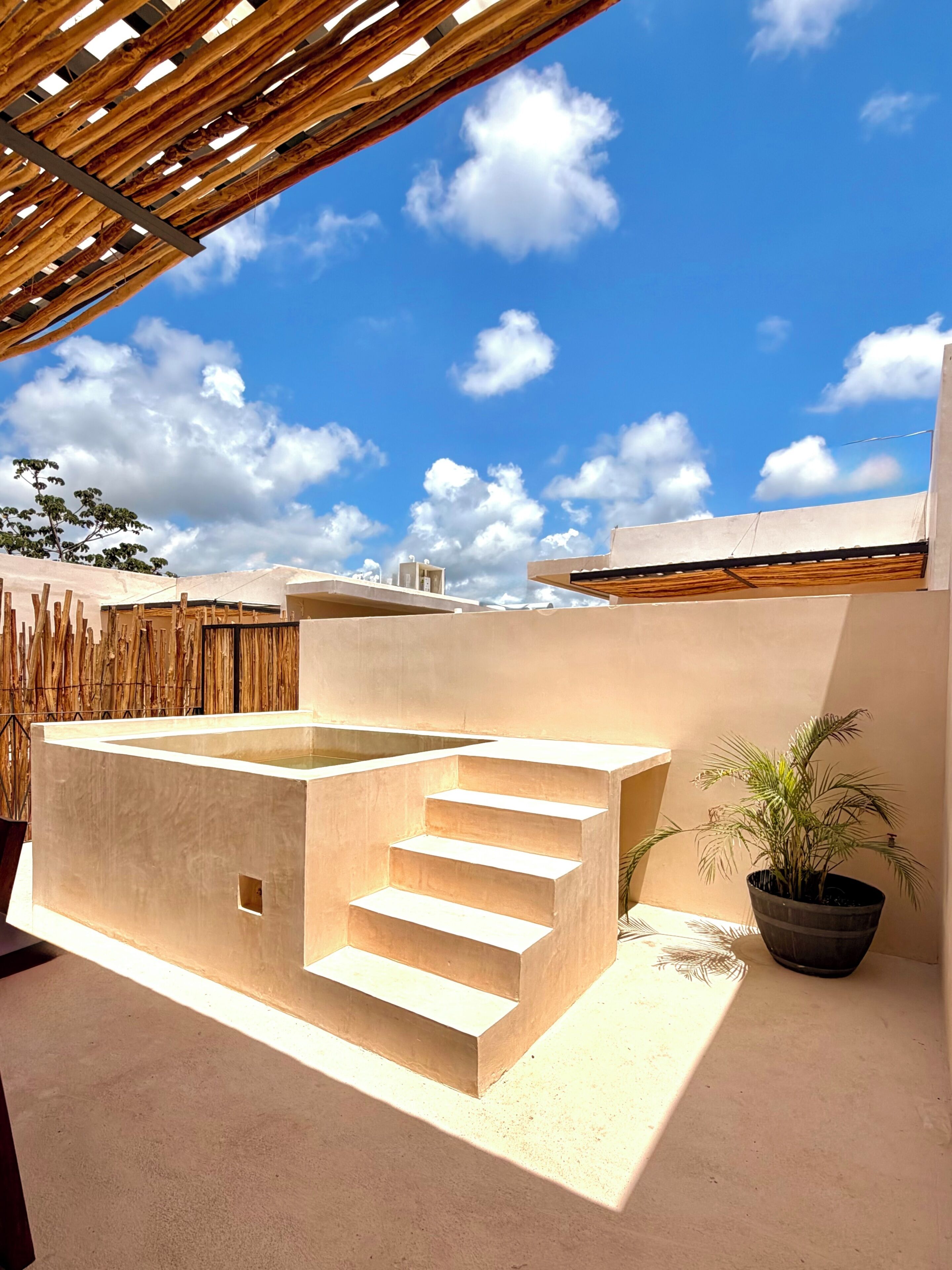 A modern outdoor pool area with steps leading to a pool, surrounded by a pergola and a potted plant.