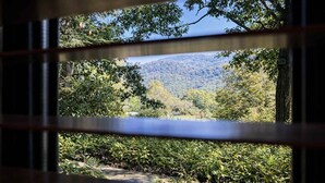 Une vue à travers une fenêtre dont le cadre est en métal, offrant un paysage naturel avec des arbres et une colline en arrière-plan.