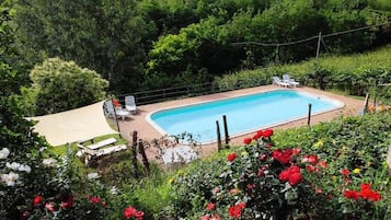 House | Pool | Outdoor pool