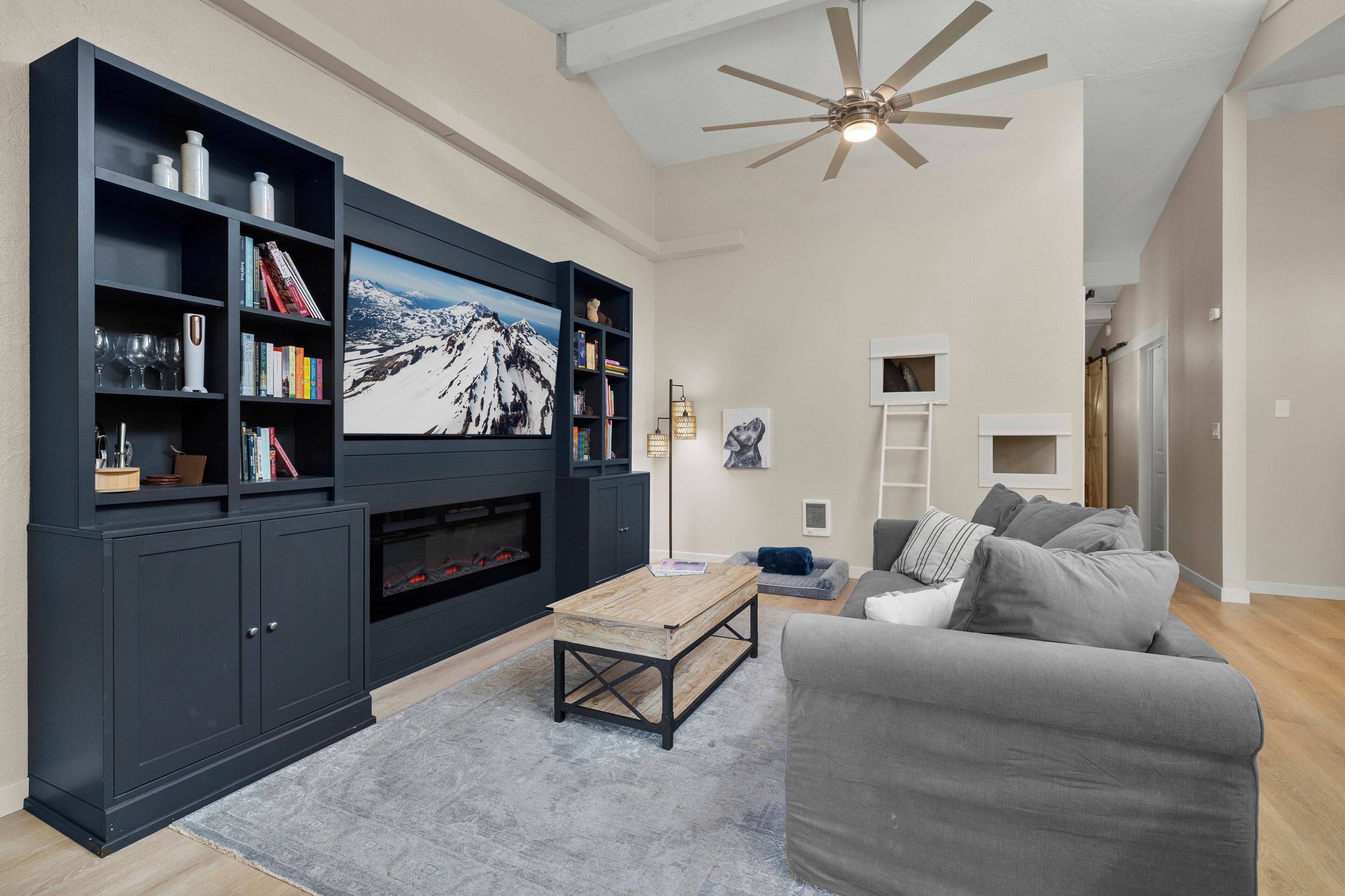 Smart TV, fireplace, books