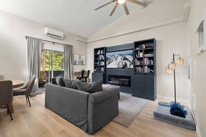 Smart TV, fireplace, books