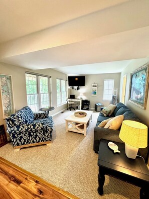 Smart TV, fireplace, books, stereo