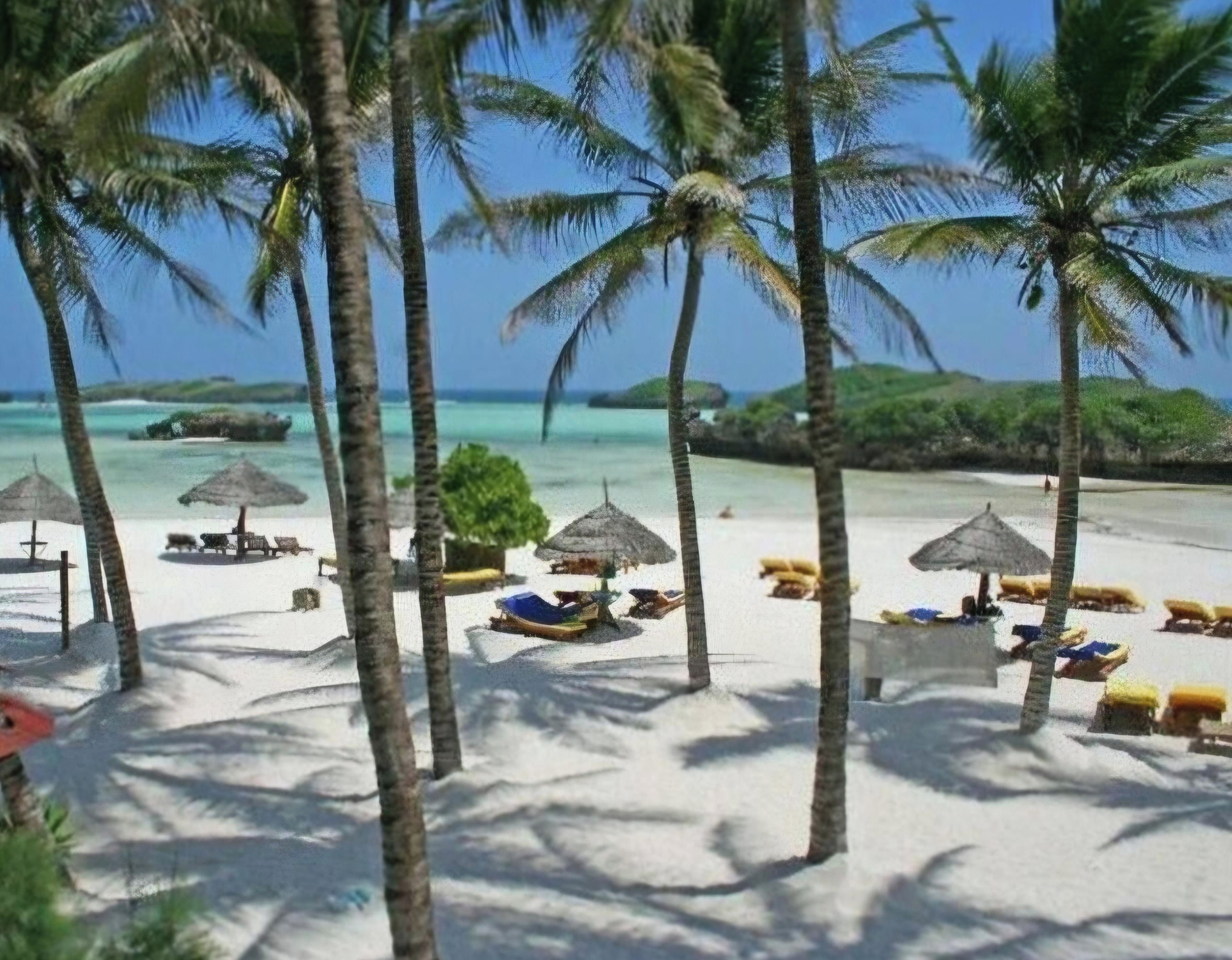 A beach with palm trees, lounge chairs, and umbrellas.