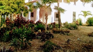 A white building with a garden featuring palm trees and various plants.