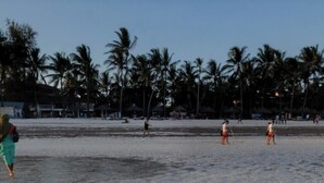 A beach with palm trees and people in the distance.