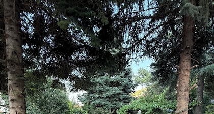 Luxury Mountain Villa with Garden & CityView