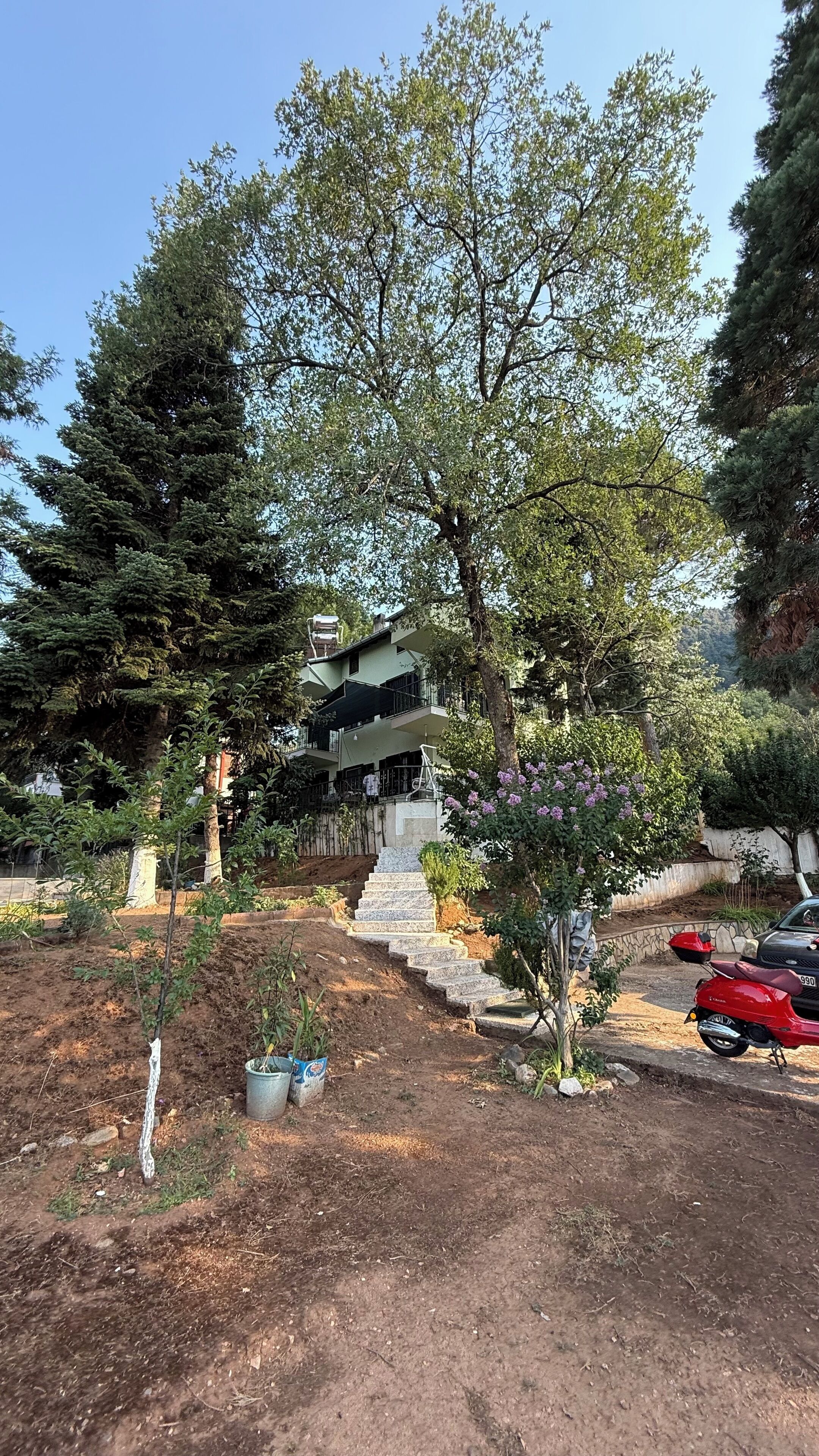 Jardines del alojamiento