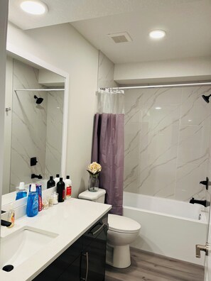 Hair dryer, towels, soap, shampoo