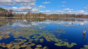Un lago tranquilo con nenúfares y árboles que se reflejan en el agua.
