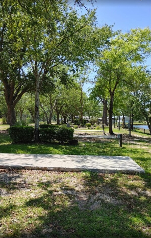 Parco della struttura
