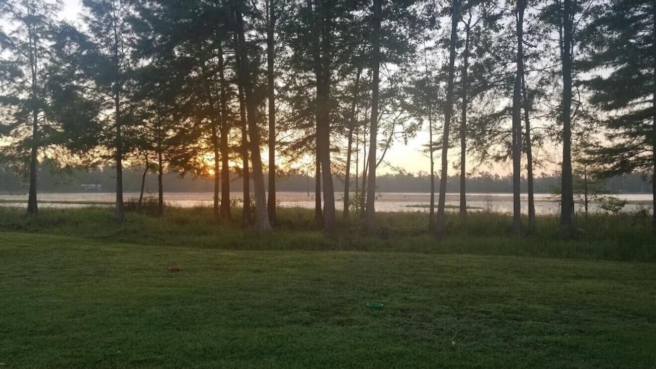 A grassy field with tall trees and a body of water in the background.