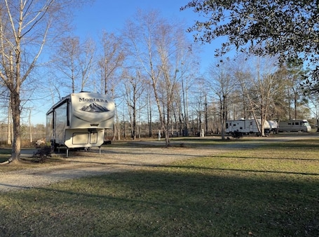 Property grounds. Cozy Cabin with a Private Lake in Fins & Feathers RV Park in Donalsonville GA