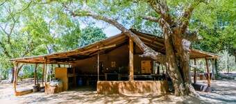 Bundala Nature Resort
The Ultimate Escape for Families and Friends