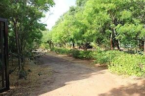 Property grounds