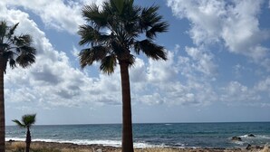 A coastal landscape with palm trees and dry grass. - Holiday Home Paphos - Near Amenities - Poolside (Paphos)