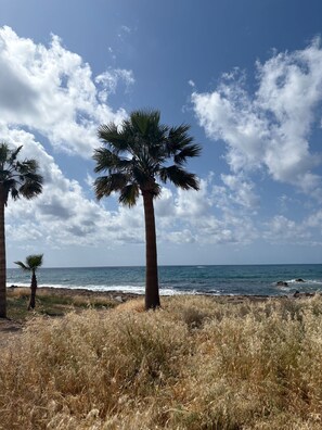 Beach - Holiday Home Paphos - Near Amenities - Poolside (Paphos)