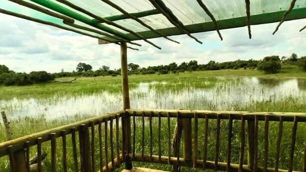 Una terraza de madera con vista a un cuerpo de agua y vegetación.