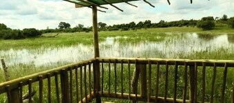 Nyati Camp Site and Coffee Shop