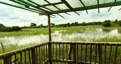 Nyati Camp Site and Coffee Shop