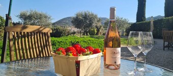 Maison Crestet - Oasis of calm yet everything at your fingertips