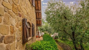 Un edificio de piedra con ventanas arqueadas y un jardín con olivos y plantas en macetas.