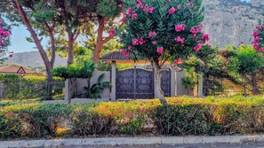 المنطقة المحيطة بالمنشأة