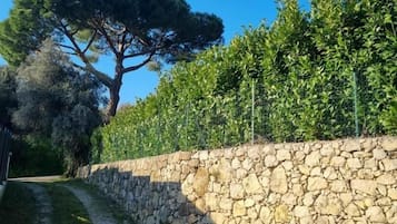 Parco della struttura