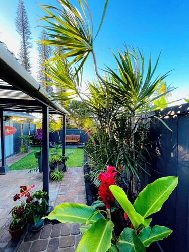 Hula Hale - Walk to Cafe - At start of the Road to Hana