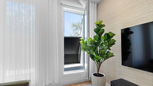 Ein modernes Wohnzimmer mit großem Fenster, einem Topf mit Pflanze, einem Flachbildfernseher und einem Sofa.