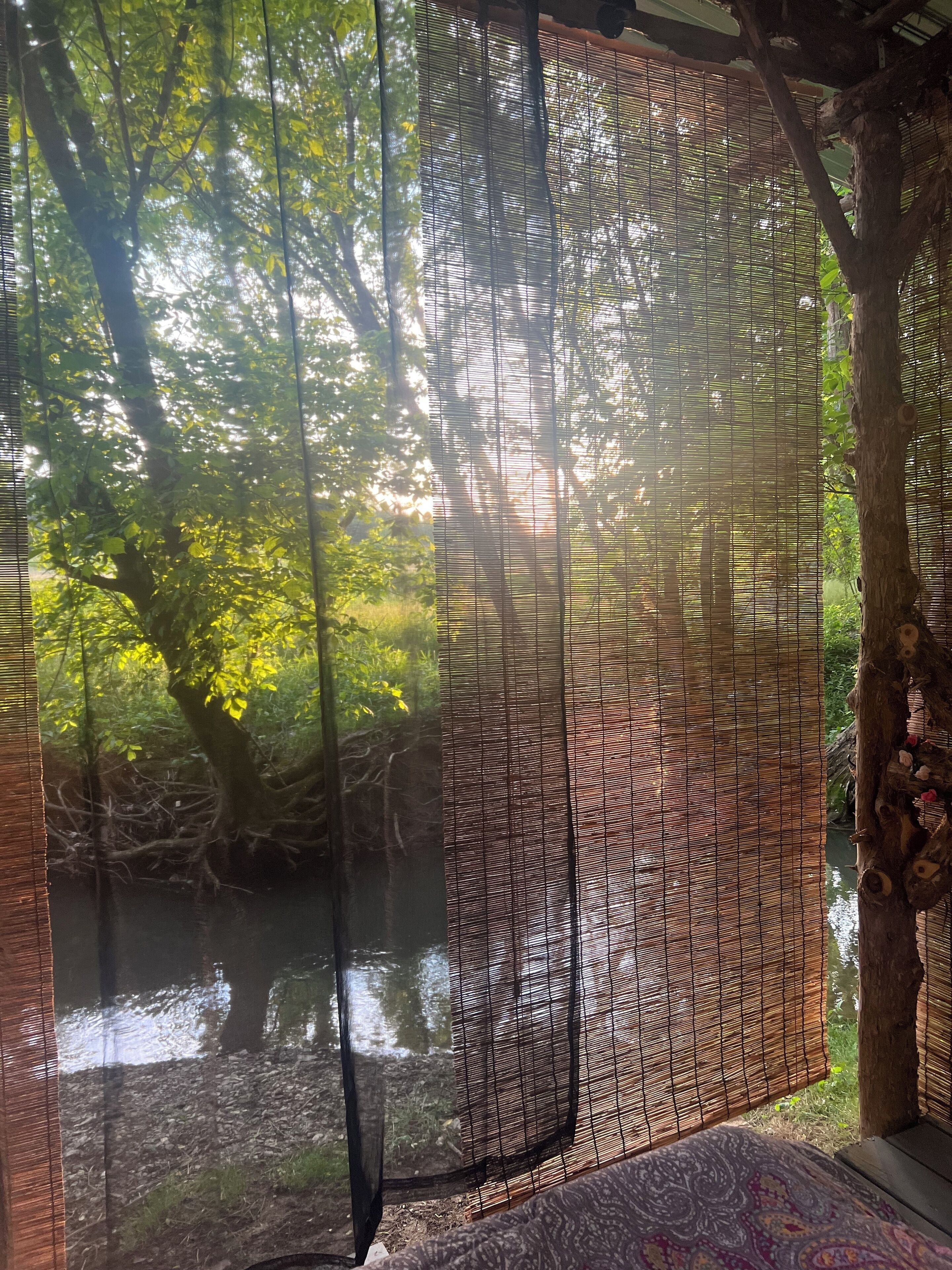 A room with a view of a forest through a bamboo screen.