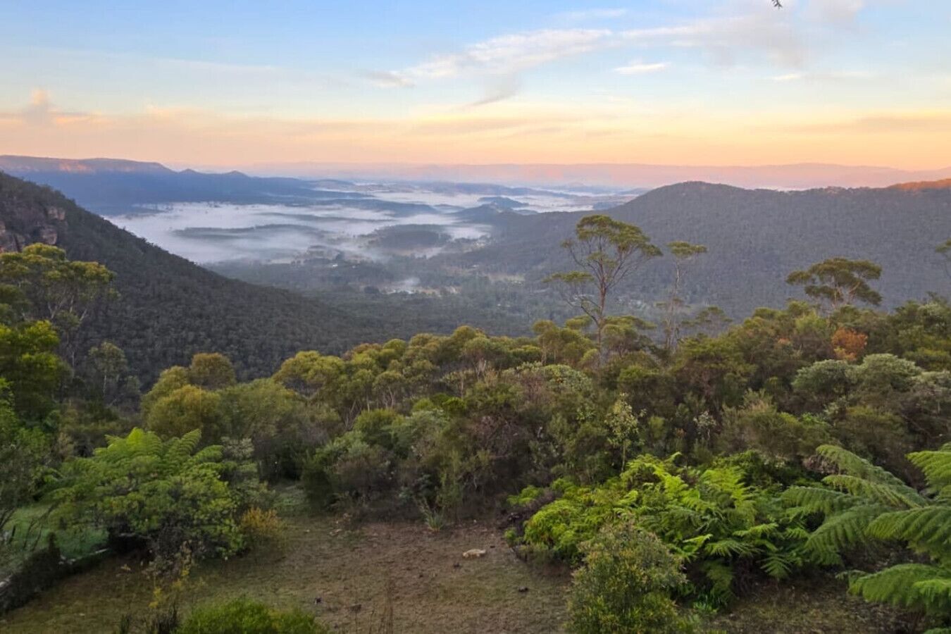 Un paysage montagneux, avec une forêt dense et une vallée.