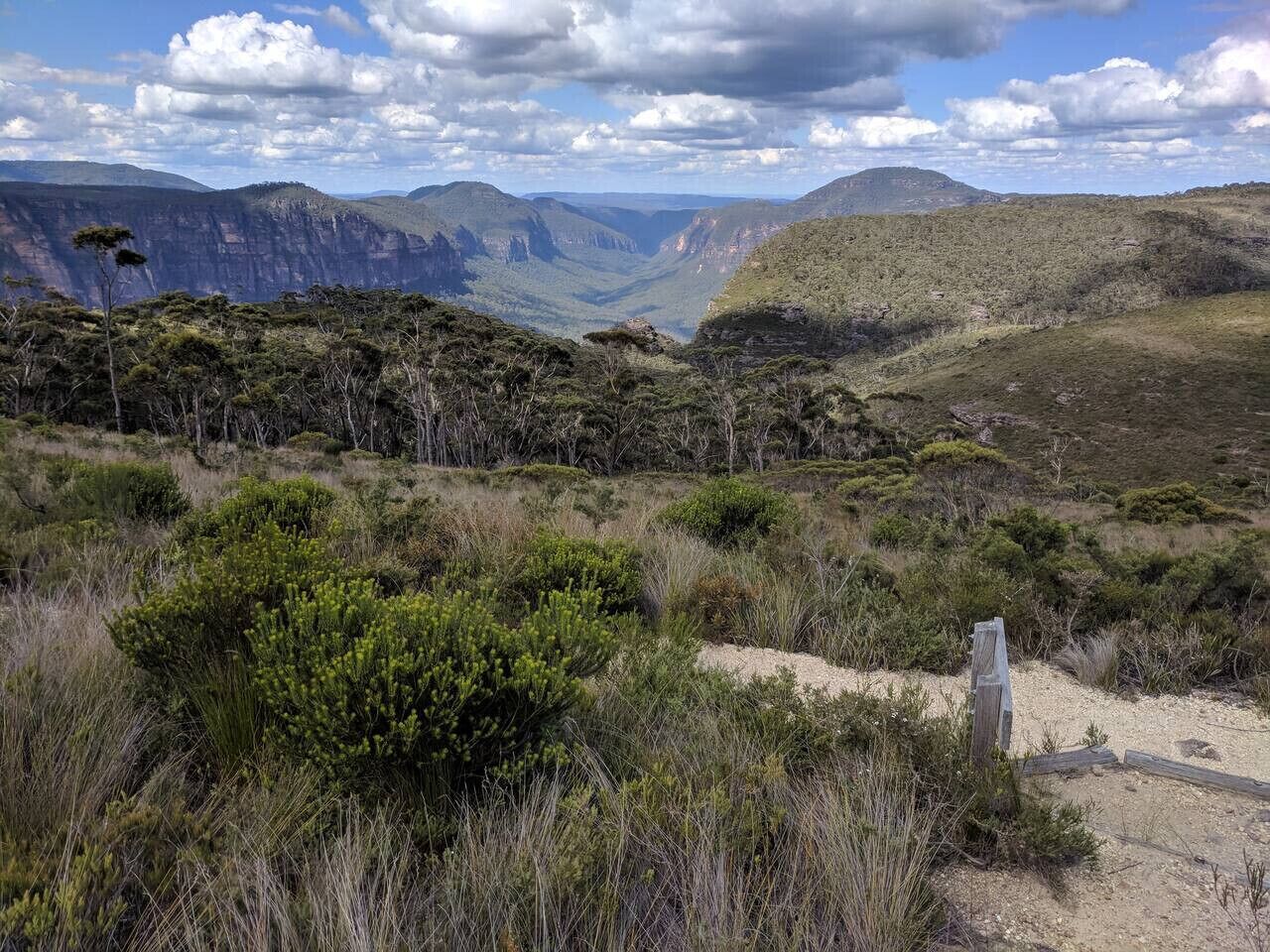 A natural landscape with a dirt path, sparse vegetation, and distant mountains.