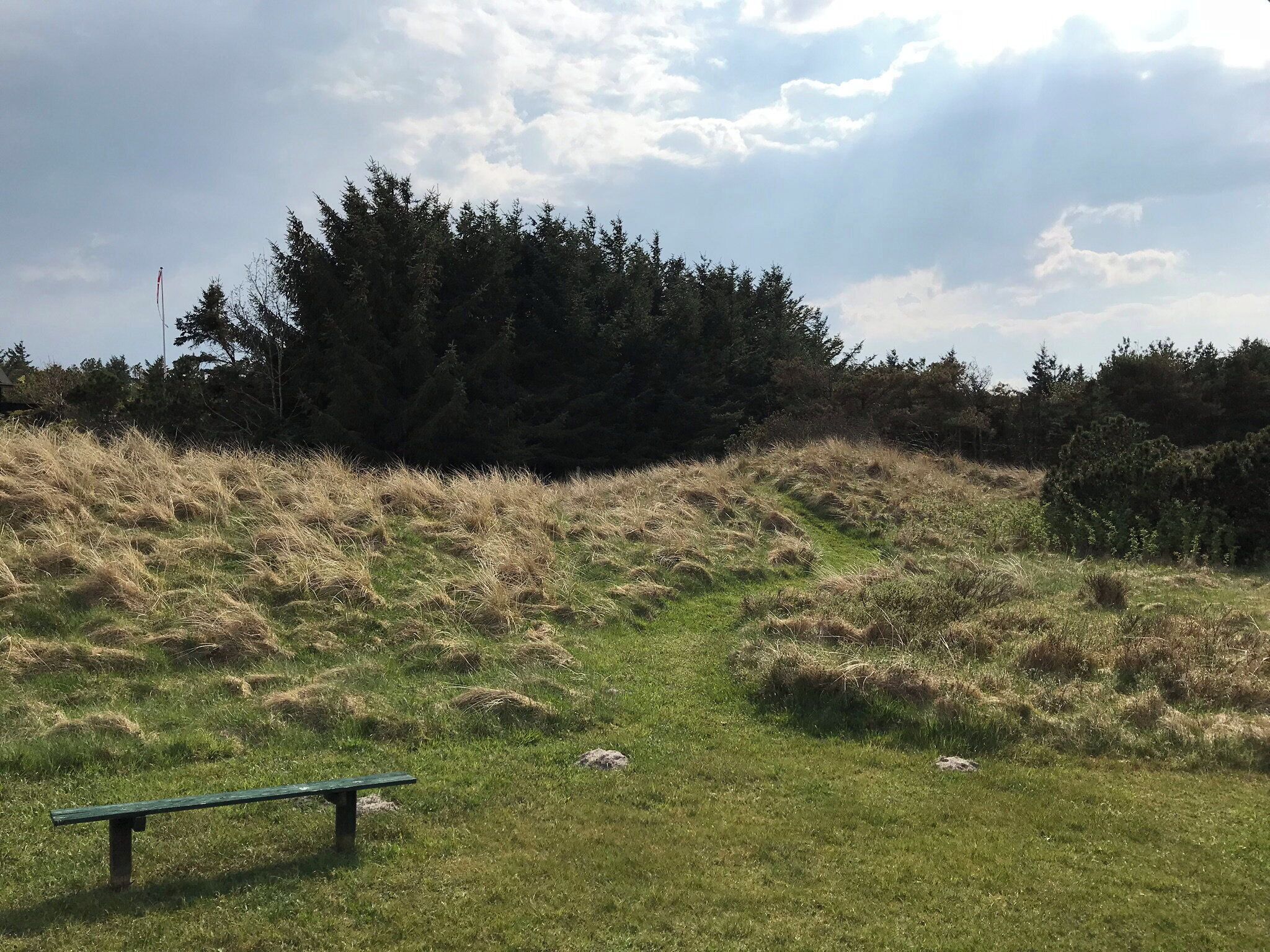 A grassy field with a bench, trees, and a cloudy sky.