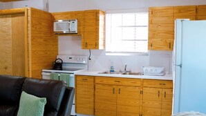 Une cuisine compacte dotée de meubles en bois, d’un four à micro-ondes, d’une bouilloire et d’un réfrigérateur.