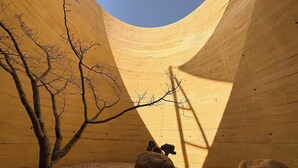 Un intérieur en bois avec un mur incurvé, un arbre dénudé et deux gros rochers.