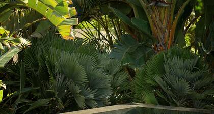 Bright oceanfront bungalow with views, garden and coastal style, 91