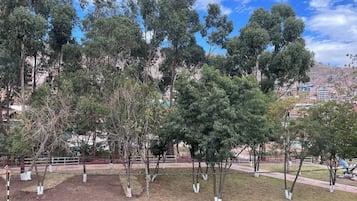Imagen general