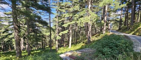 Overnatningsstedets område