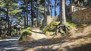 Un bâtiment en pierre à l’aspect rustique, entouré de grands pins et bordé d’un chemin de terre qui mène à une route asphaltée.