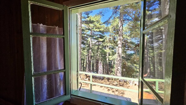 Une fenêtre donnant sur une forêt.