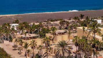 Un complejo turístico costero con varias edificaciones, palmeras y una playa al fondo.