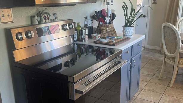 Una cocina con estufa, horno y microondas de acero inoxidable, un fregadero y una planta en maceta en la encimera.
