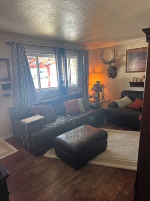 TV, fireplace - Charming 4-bedroom house with WiFi, AC in beautiful Great Falls (Great Falls)