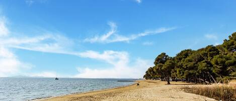 Mobile Home | View from property
