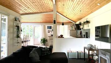 Smart-tv, pejs, bøger