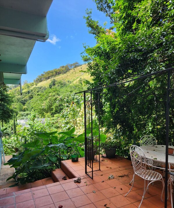 A patio with a table and chairs, surrounded by lush greenery and a view of a hillside. - Flower Of Joy Wellness Villa (Port of Spain)