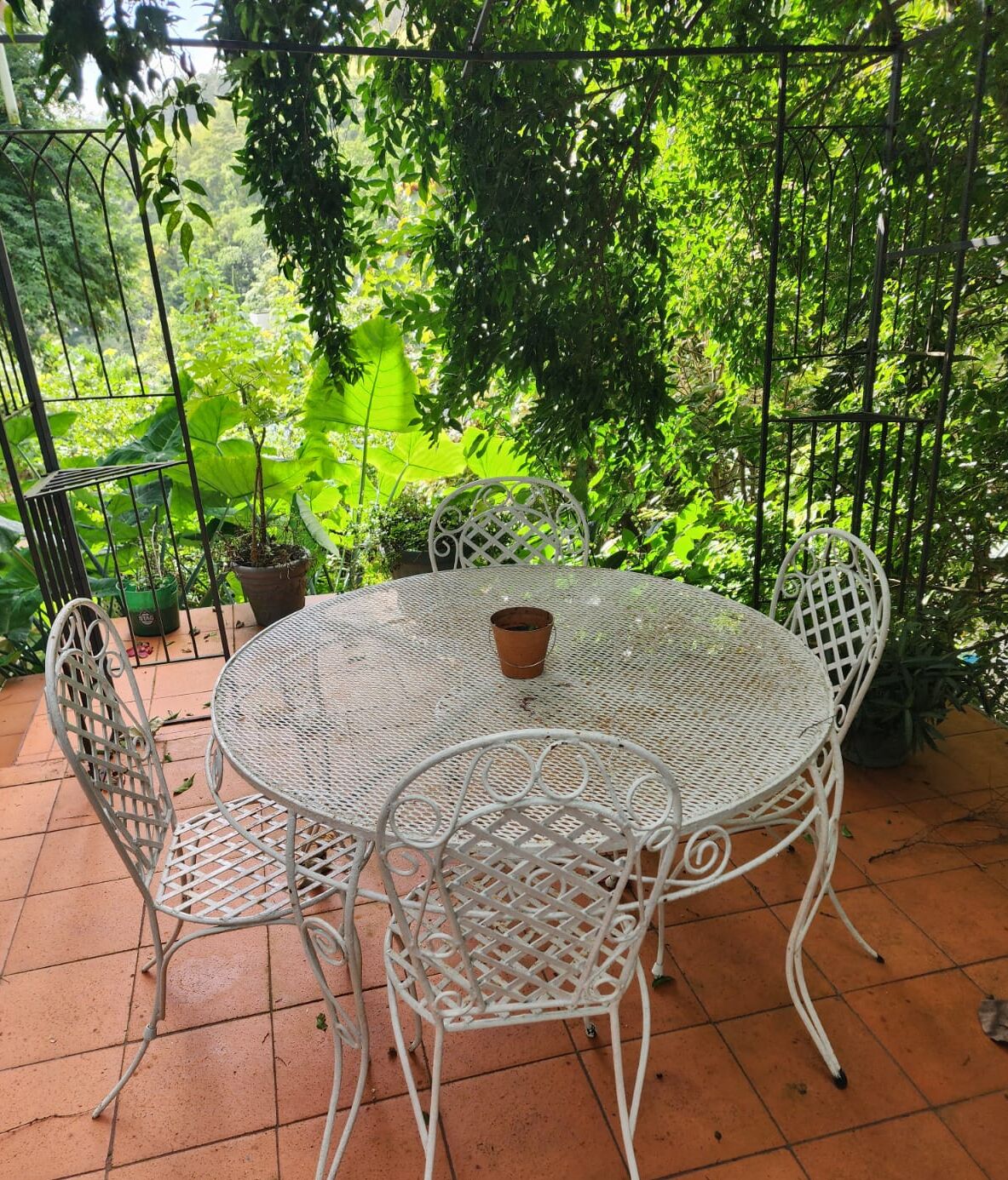 Une table ronde en métal, entourée de quatre chaises, de plantes en pot et d’une clôture en métal.