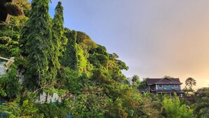Uma casa rodeada por vegetação densa e céu claro.